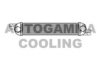 AUTOGAMMA 103522 Intercooler, charger